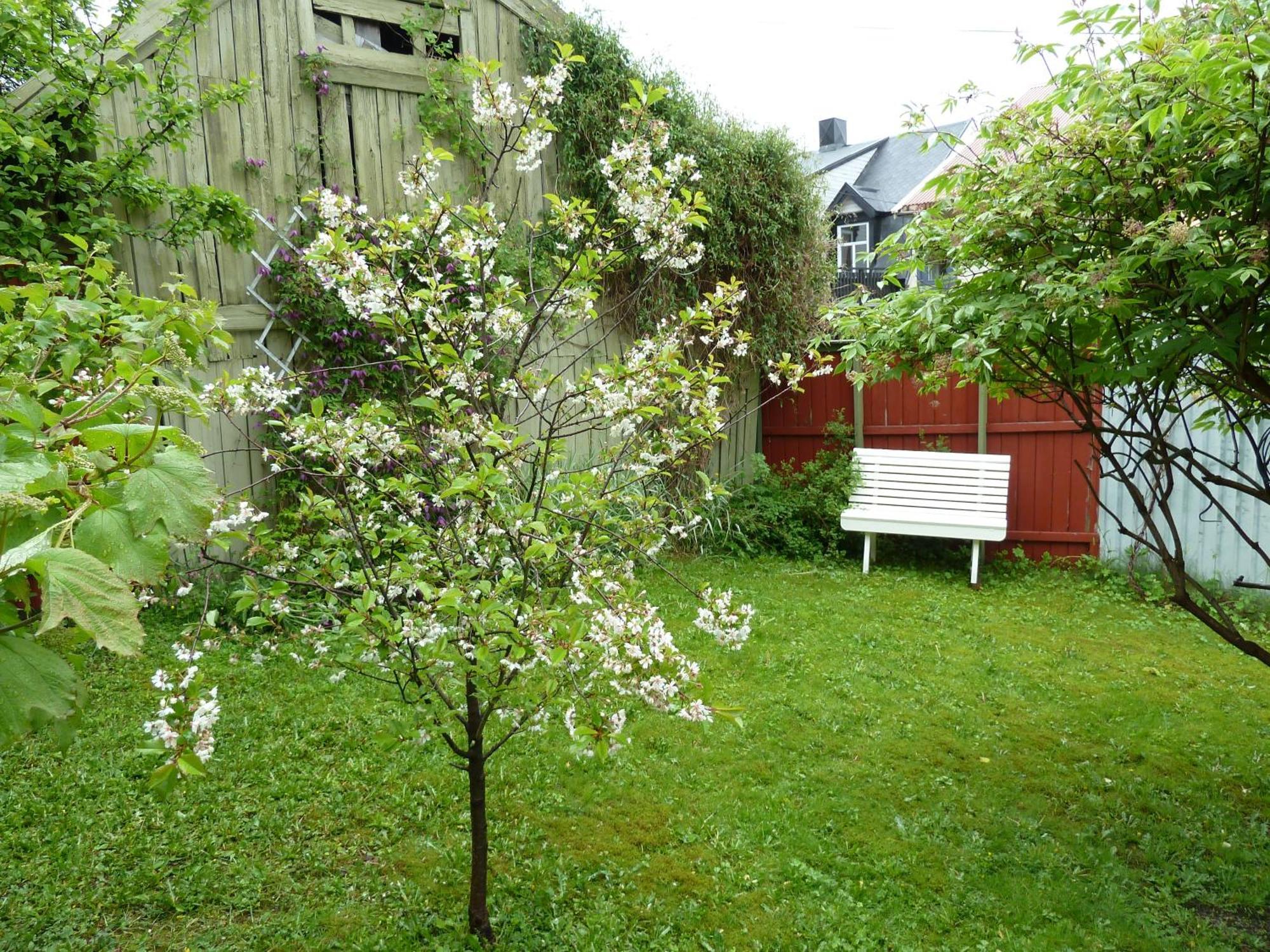 Red Old House Tromso Apartment Εξωτερικό φωτογραφία